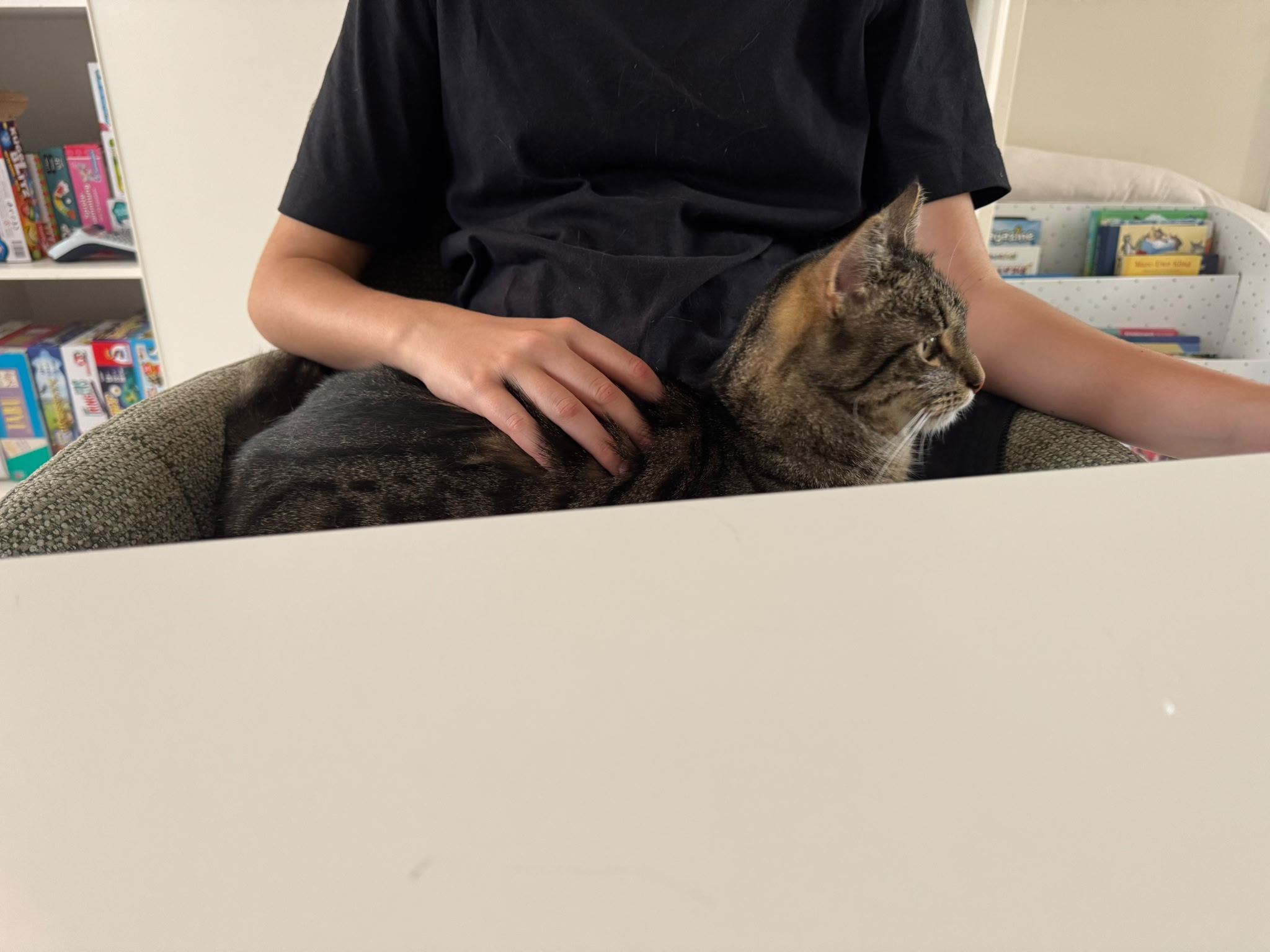 Lernkater Helge Schneider